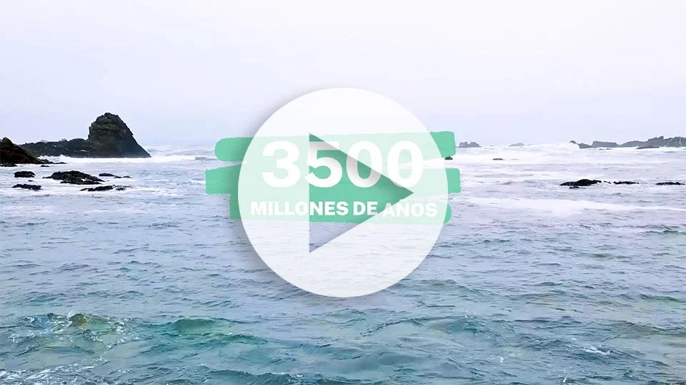 C02 – Un Mar de Posibilidades