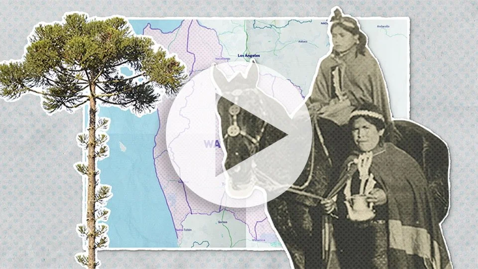 C01 – La Tierra que Pisamos