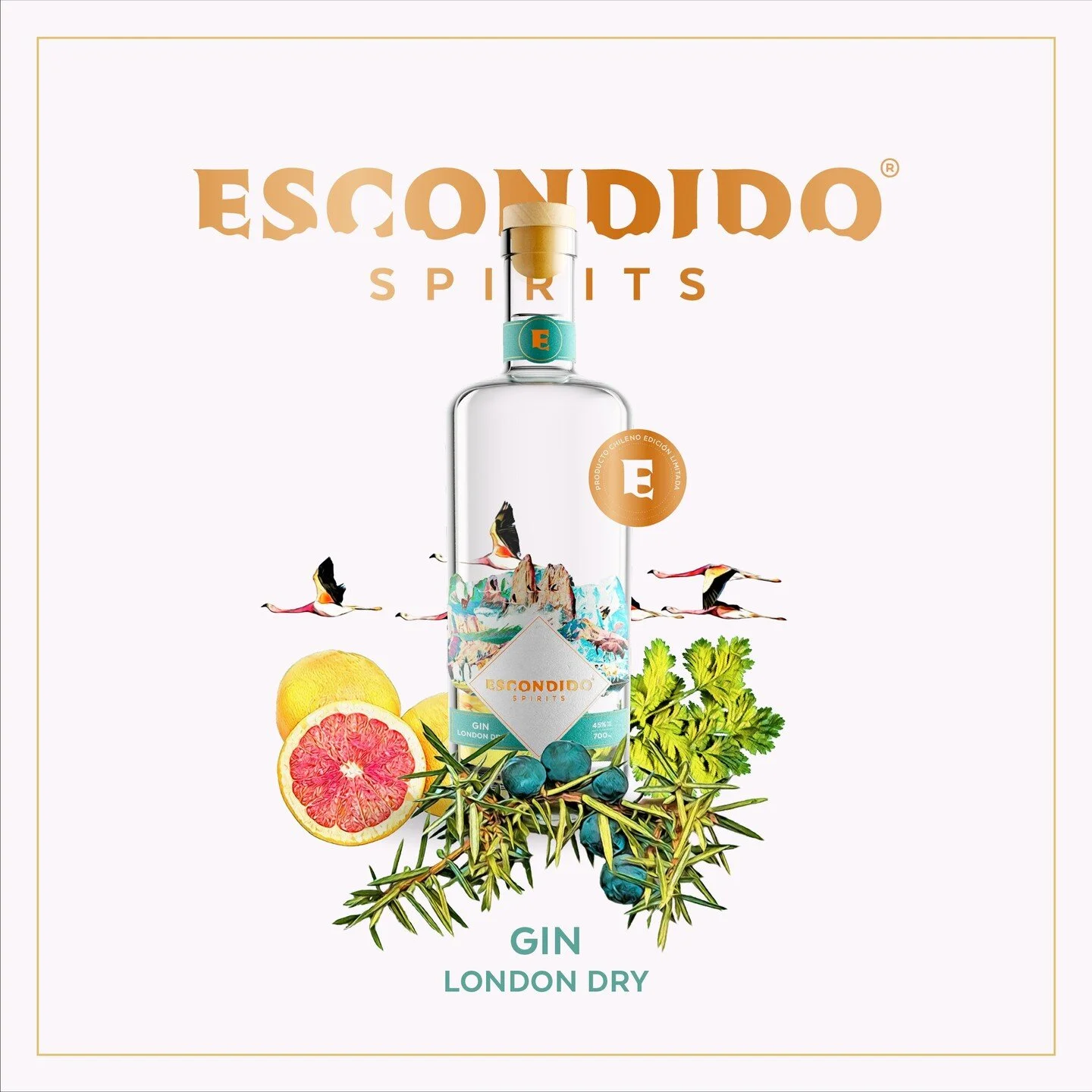 Escondido es una nueva marca de destilados premium chilena que busca poner en valor los ingredientes &uacute;nicos de Chile y consagrar una nueva cultura destilera nacional.
Para este proyecto desarrollamos &iacute;ntegramente la estrategia de marca,