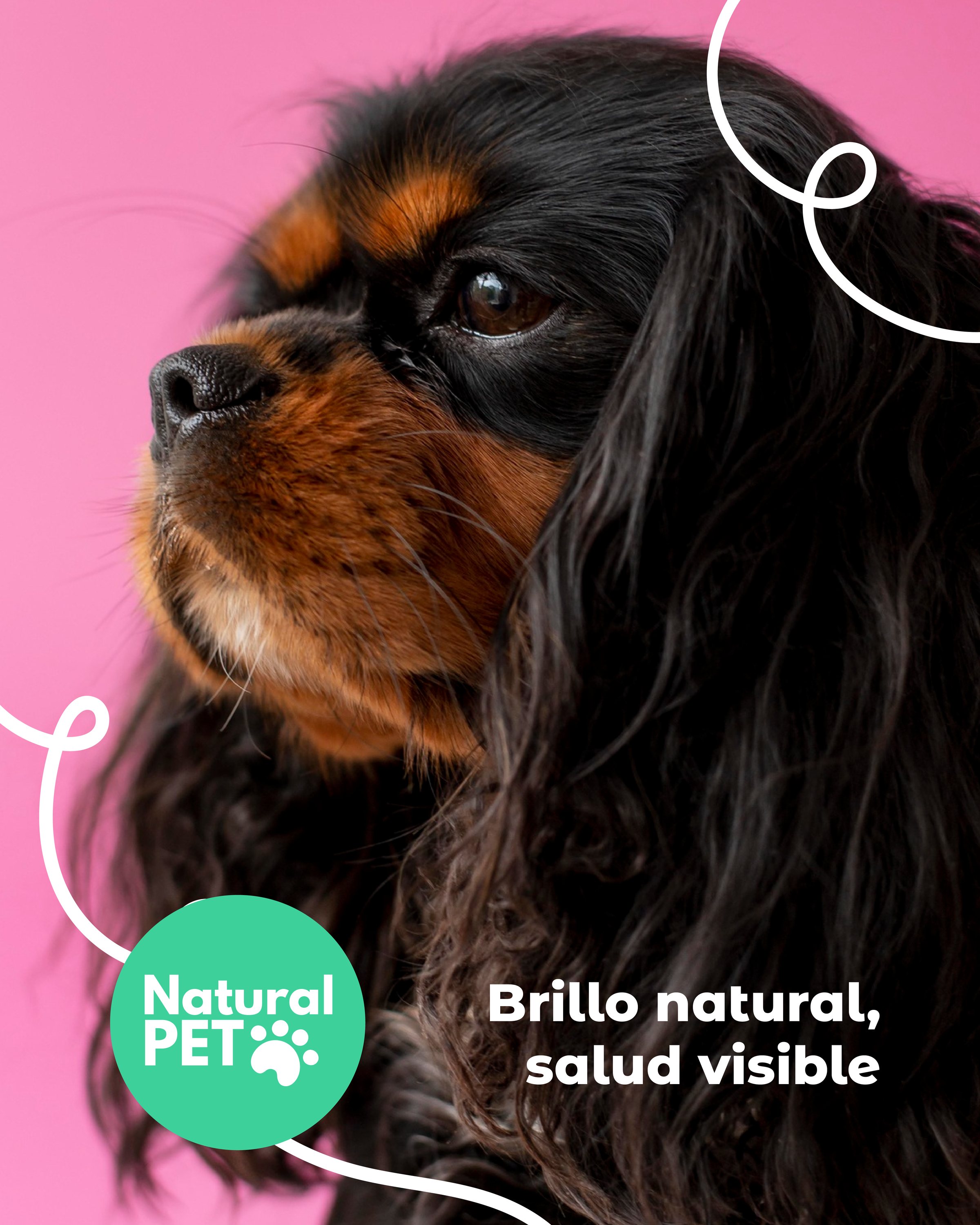 Natural Pet: la mascota al centro
