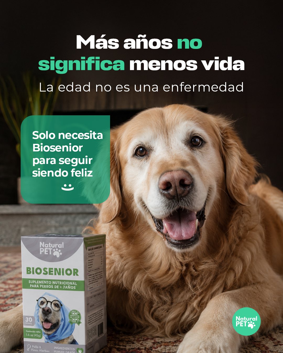 Post «Más años no significa menos vida»: golden retriever mayor echado junto a la caja de Biosenior.