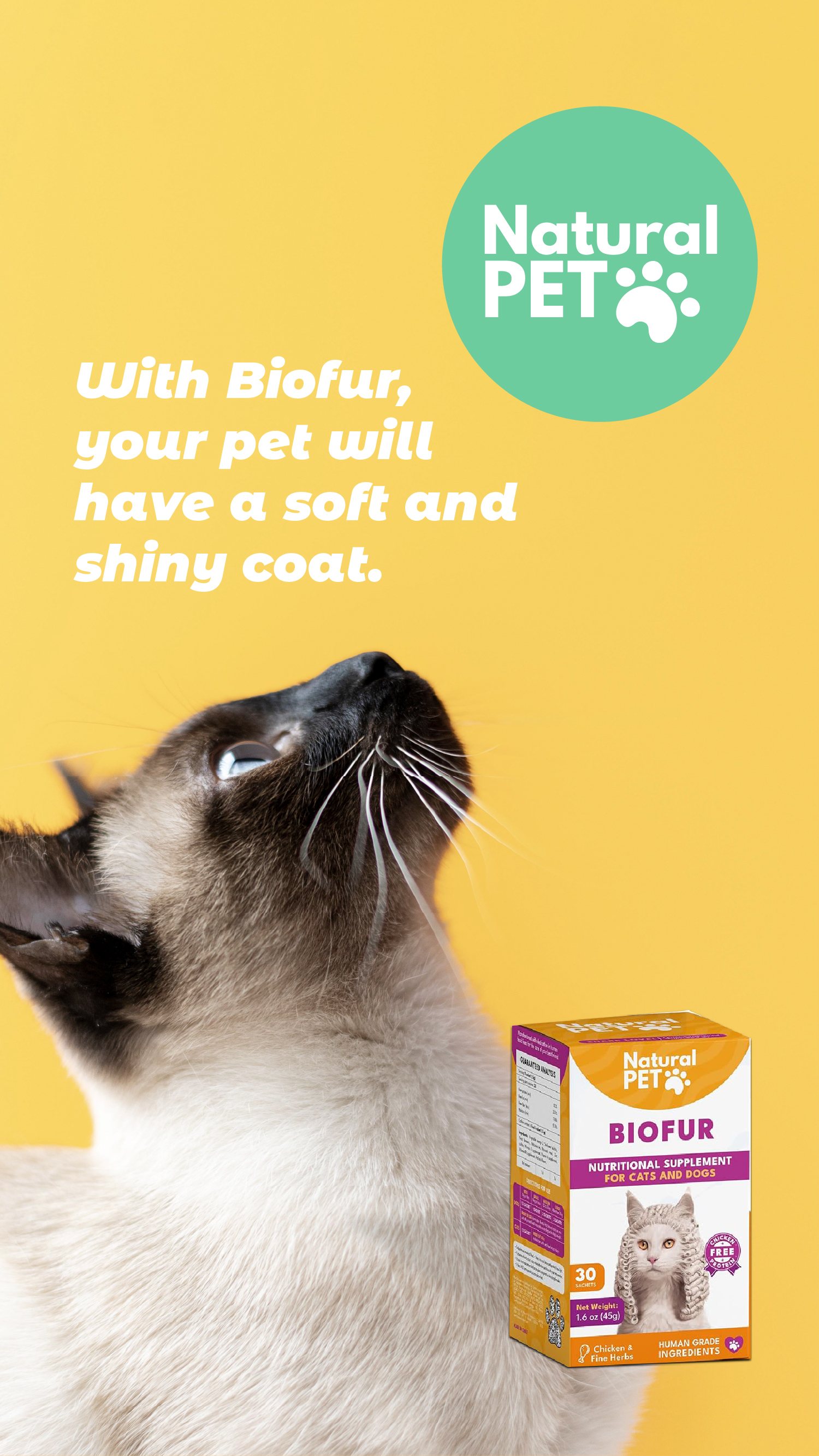 Historia de Natural Pet US para Biofur: gato siamés sobre amarillo.