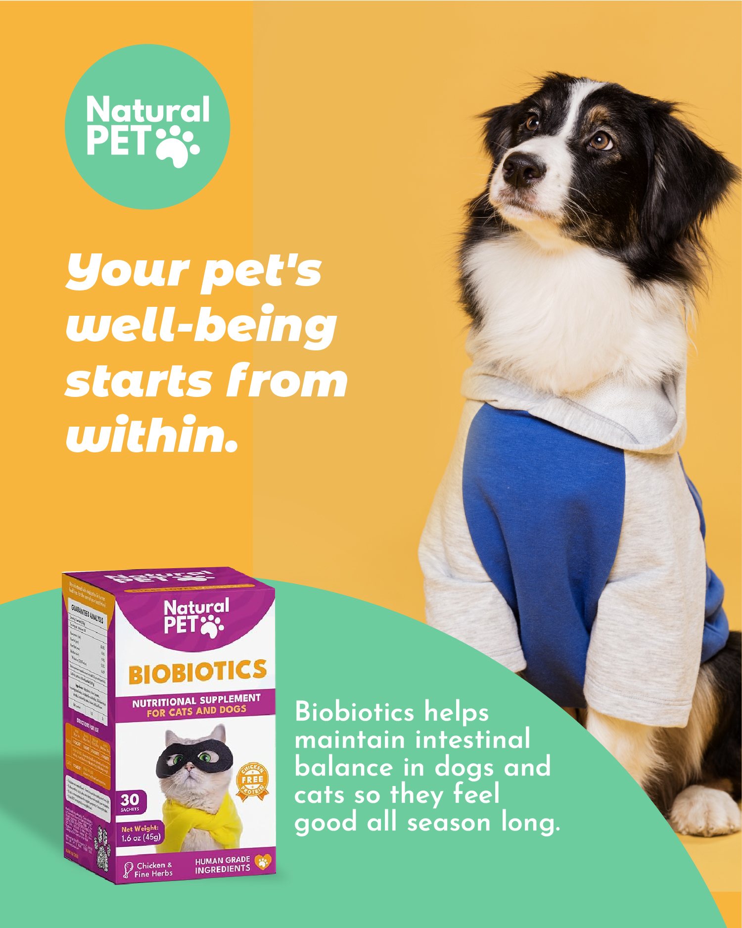 Post de Natural Pet US para Biobiotics: perro con polerón sobre fondo amarillo.