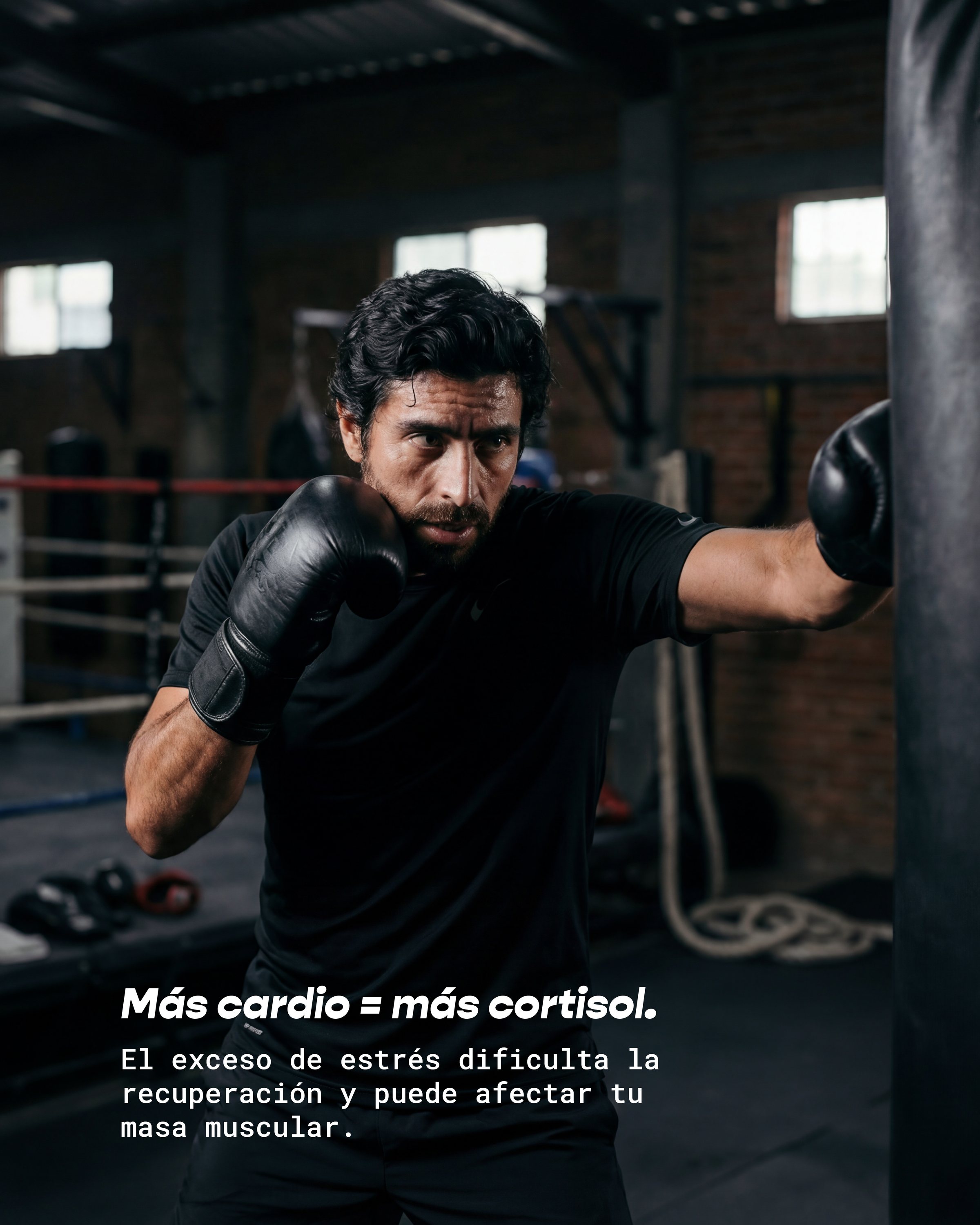 Lámina «Más cardio = más cortisol»: hombre golpeando un saco de boxeo.