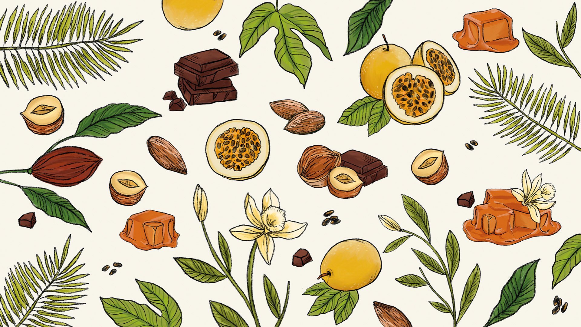 Ilustraciones de cacao, avellanas, maracuyá, caramelo y hojas, en estilo botánico.