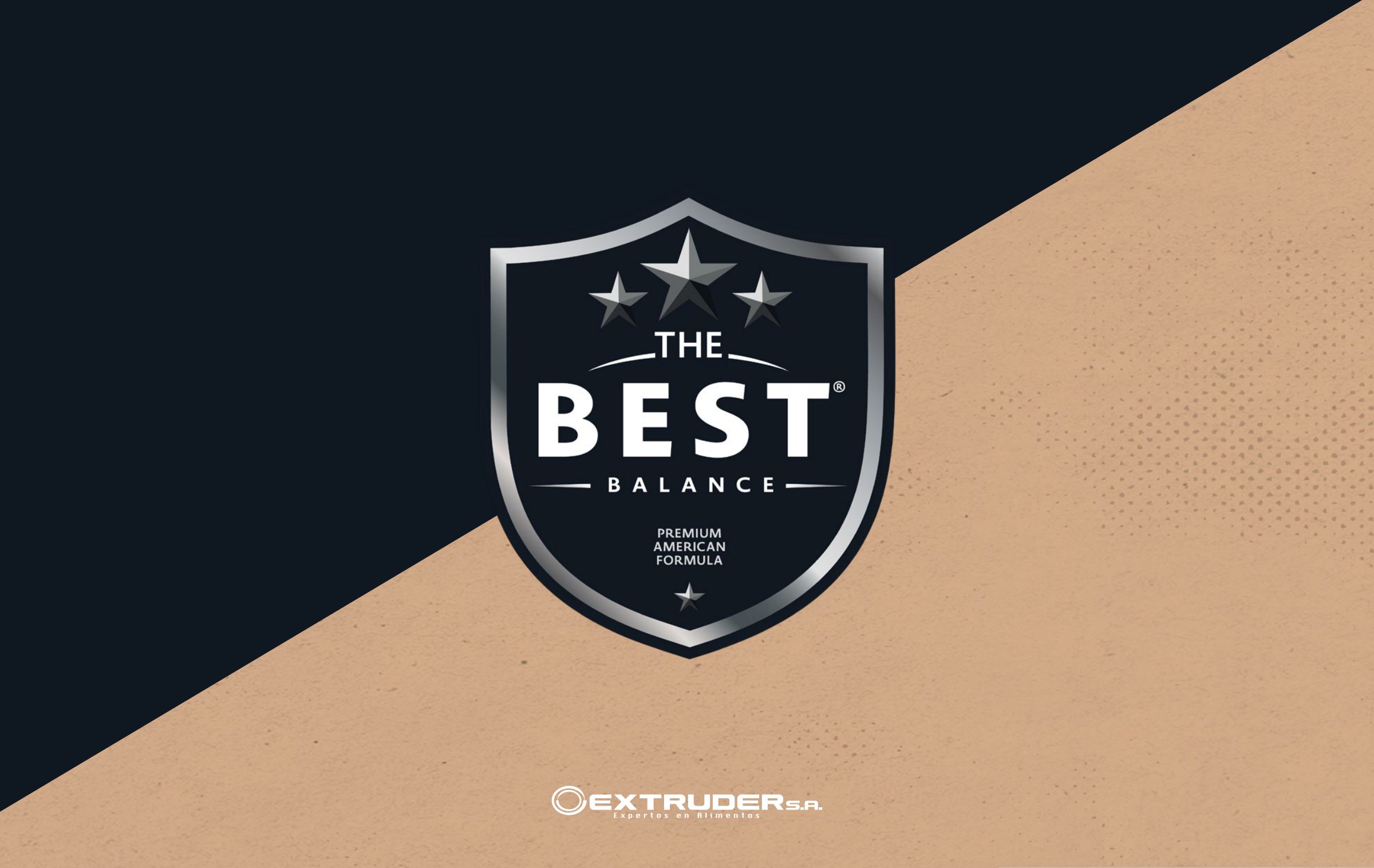 El escudo de The Best sobre la diagonal negra y kraft.
