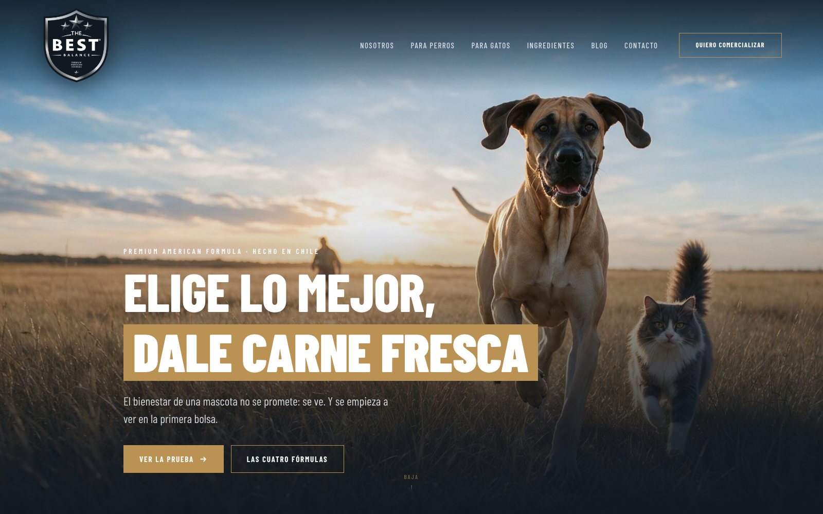 Portada del sitio The Best: un perro y un gato en un pastizal al atardecer y el titular «Elige lo mejor, dale carne fresca» sobre una caja dorada.