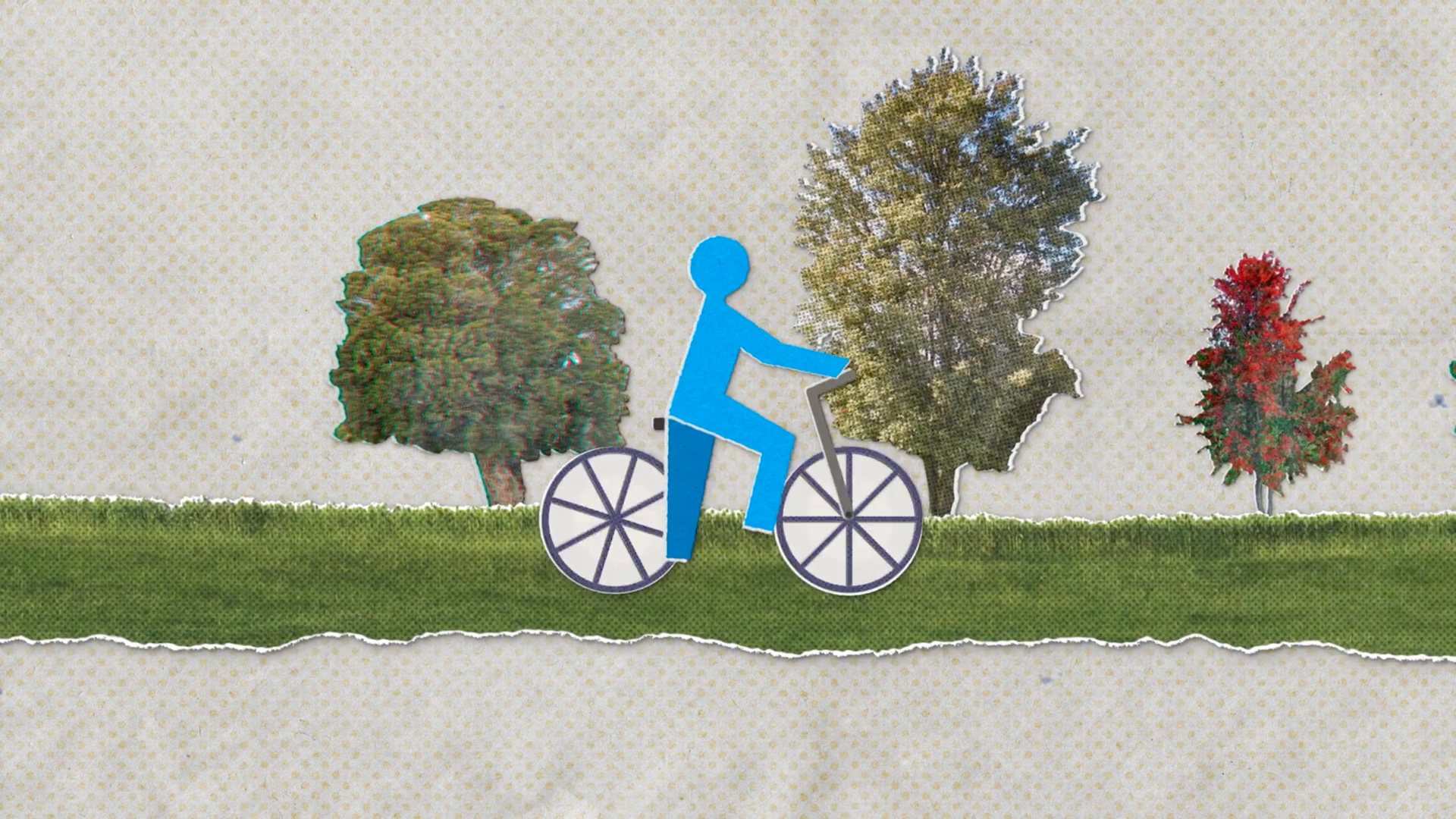 Escena: una persona en bicicleta entre árboles recortados.